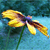 DeviantArt profile picture for @neurology on DeviantArt