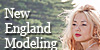 NewEnglandModeling's avatar
