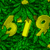 Nicapol :iconnicapol: