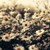 nicolamac :iconnicolamac: