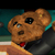 nicolascasanova :iconnicolascasanova: