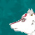 NightAngel07 :iconnightangel07: