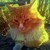 NightlyWonder :iconnightlywonder: