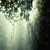 NightRainForest :iconnightrainforest: