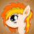 NihiTheBrony :iconnihithebrony: