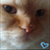 Nikki-Chu :iconnikki-chu: