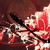 nikki8356 :iconnikki8356: