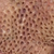 NikkiWare :iconnikkiware: