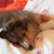 nimoe-chan :iconnimoe-chan: