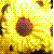NinjaThrowingStar :iconninjathrowingstar: