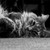 NiquePhotography :iconniquephotography: