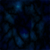 DeviantArt profile picture for @Nitch on DeviantArt