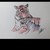 NiTheNegativeTiger :iconnithenegativetiger: