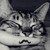 Nokill-Negi :iconnokill-negi:
