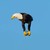 :iconnomorethyme: