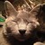 nonstopworks :iconnonstopworks: