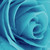 notBAGHEERA :iconnotbagheera: