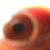 NotInTheDictionary :iconnotinthedictionary: