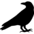 :iconnowaiiz: