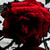 NoXCaiN :iconnoxcain: