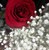 NullGrasp :iconnullgrasp: