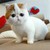 nutcha1257 :iconnutcha1257: