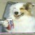 NutellaFreakAndrew :iconnutellafreakandrew: