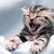 nutintodo12338 :iconnutintodo12338:
