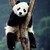 Nyamtick :iconnyamtick: