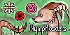 Nymphosalis's avatar