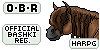 OBR-Bashki-Registry's avatar