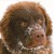 obscure-ish :iconobscure-ish: