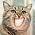 Octobrhmm User Profile Deviantart Octobrhmm User Profile Deviantart