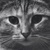 Oddboy7 :iconoddboy7: