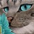 Odi-Iza :iconodi-iza:
