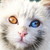 oelbaz :iconoelbaz: