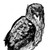 olibrine :iconolibrine: