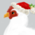 omelette-kid :iconomelette-kid: