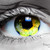 onefouru :icononefouru: