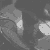OneTrueDragon :icononetruedragon: