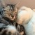 ongmoretime :iconongmoretime: