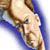 onionring :icononionring: