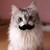 OnurColak :icononurcolak:
