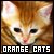 Orange-Cats :iconorange-cats: