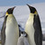 Orca217 :iconorca217: