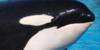 Orcasdolphinslovers's avatar