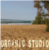 :iconorganicstudio: