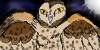 OwlFANS's avatar
