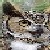 owlspectre :iconowlspectre: