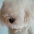 owyang :iconowyang: